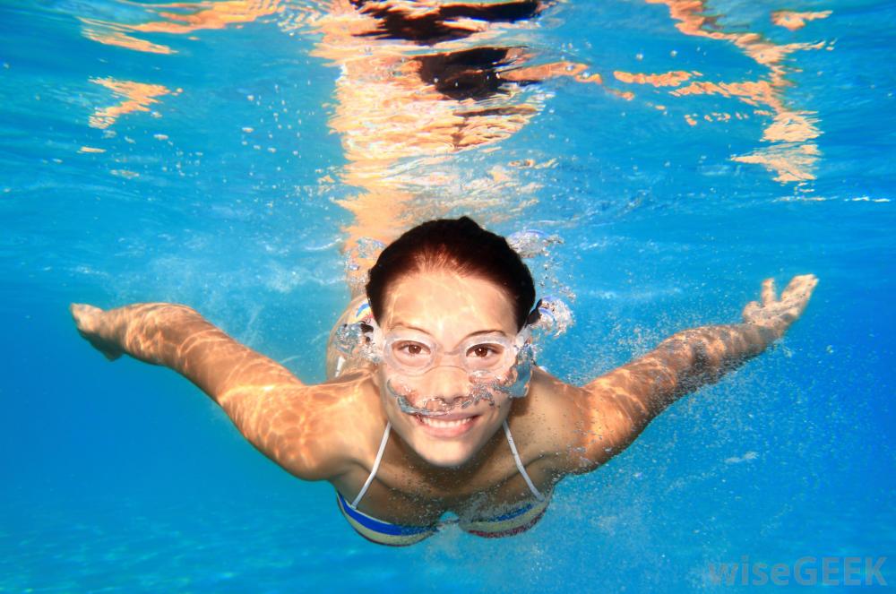 Women Swimmers Hots Videos 8